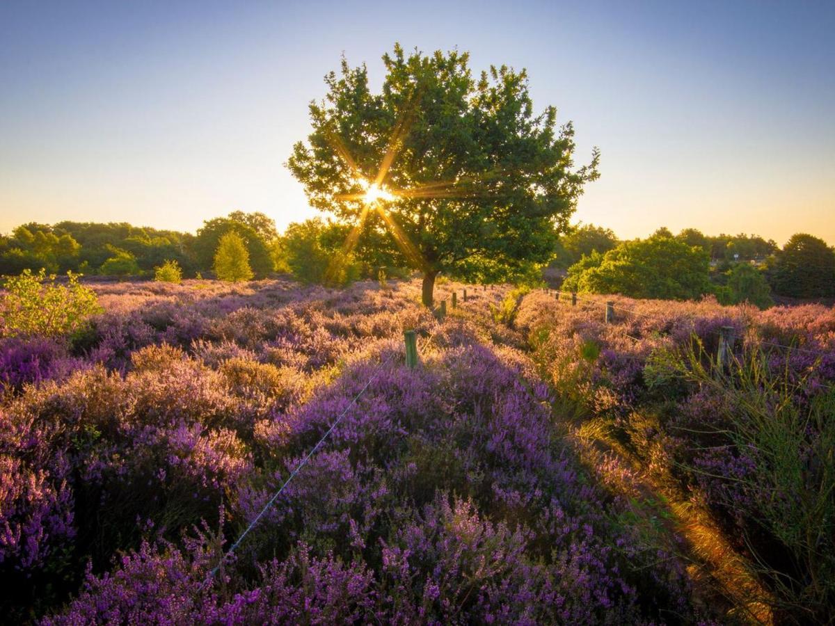 Hotel Landal Gooise Heide Huizen Exterior foto